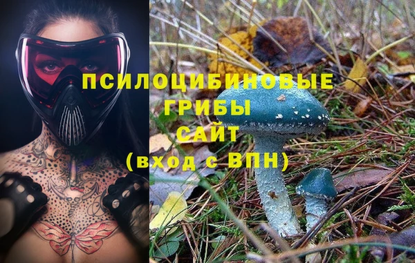 дмт Абдулино