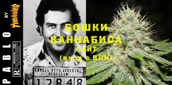 сатива Абинск