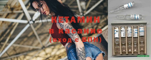 сатива Абинск